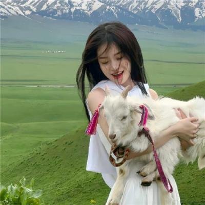 女高怪谈重启：母校